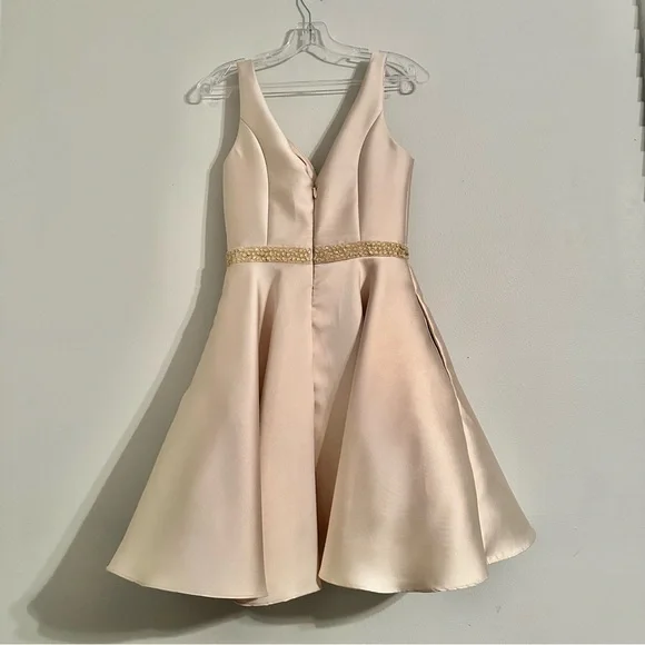 Johnny RN# 146693 Special Occasion Midi A-Line dress. Size Small. - Picture 3 of 10